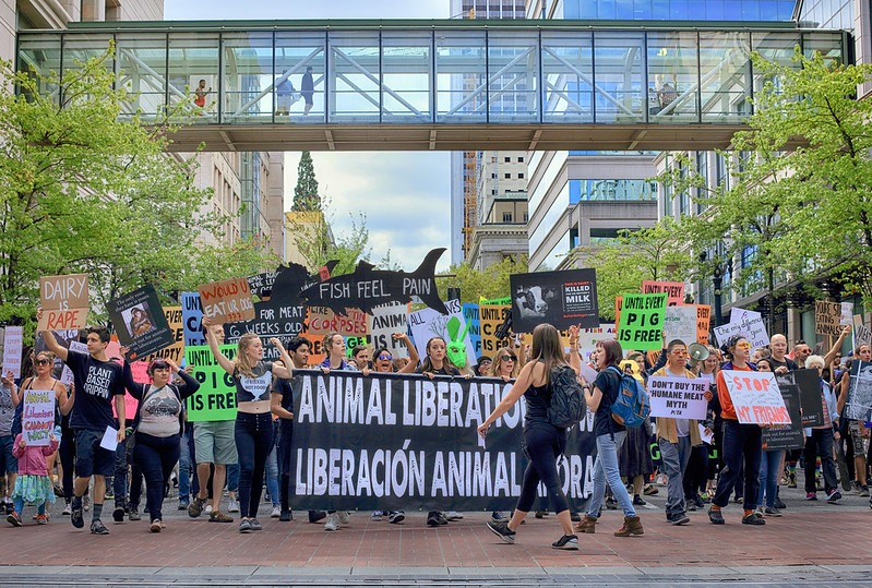 "The Official Animal Rights March" by Ian Sane is licensed under CC BY-NC-ND 2.0.