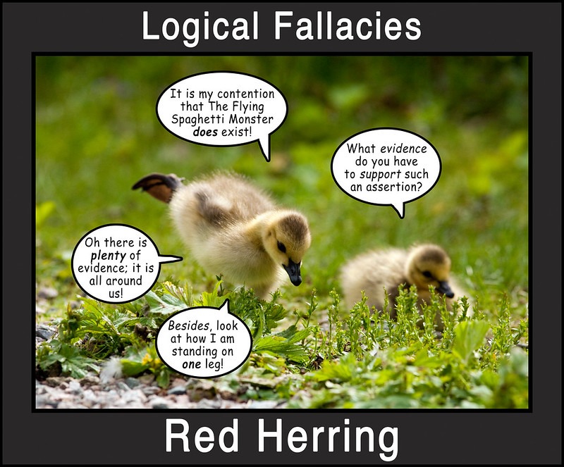 Logical Fallacies 3 by Mark Klotz is licensed under CC BY-NC 2.0.